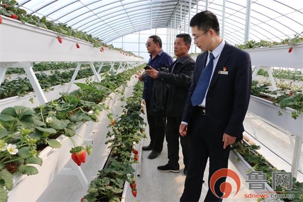 聊城农商银行:为谭庄村产业振兴保驾护航