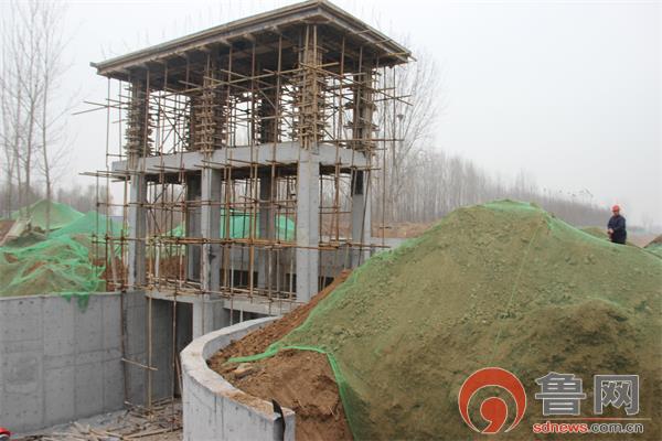 加强谋划推动，助力乡村振兴——聊城市发改委积极推进“我为群众办实事”活动