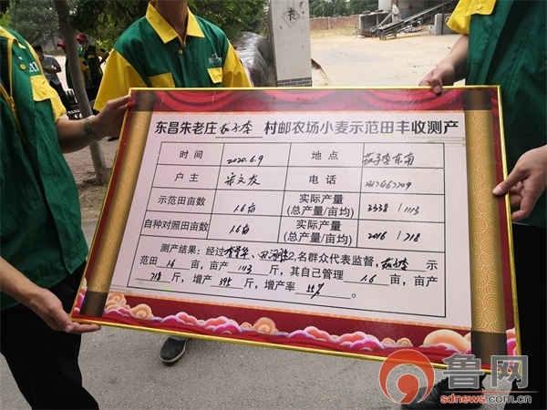 增产率55%！聊城邮农场再交优秀答卷