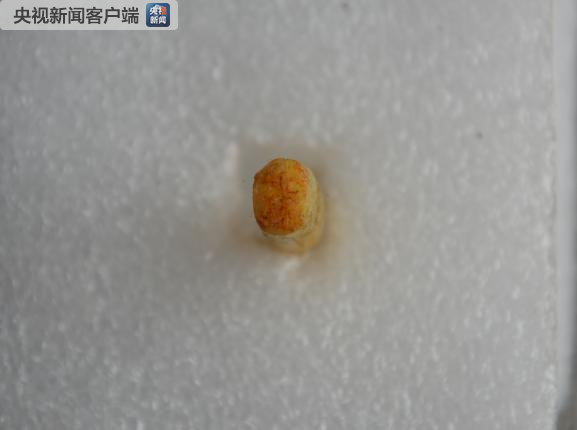 英魂兮归来！“寻找英雄”大型活动启动