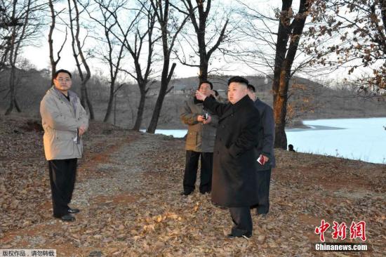 朝鲜大力生产优质树苗送往太阳宫建“最高圣地”