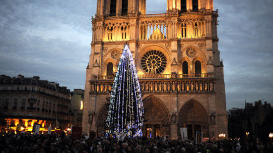 图为巴黎圣母院前的圣诞树。