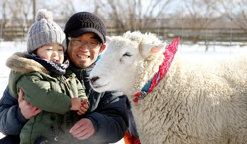 喜迎羊年日本举行与“微笑羊”合影活动（图）