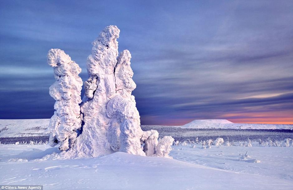 俄罗斯极寒地带树木冰雪覆盖亦妖亦仙
