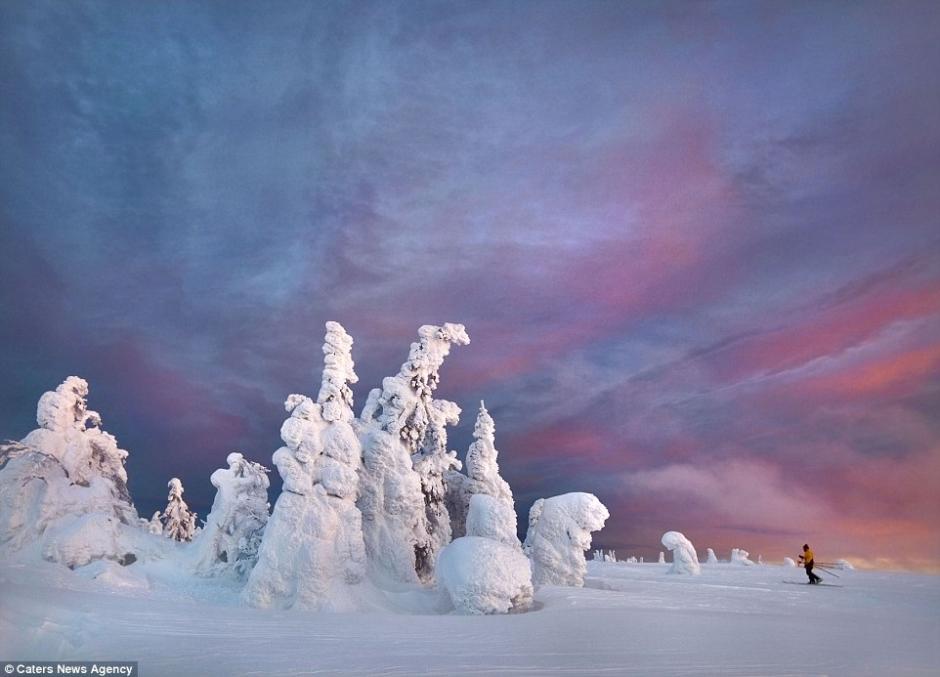 俄罗斯极寒地带树木冰雪覆盖亦妖亦仙
