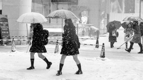 女生冬天穿短裙露大腿 日本“抗冻民族”如何炼成