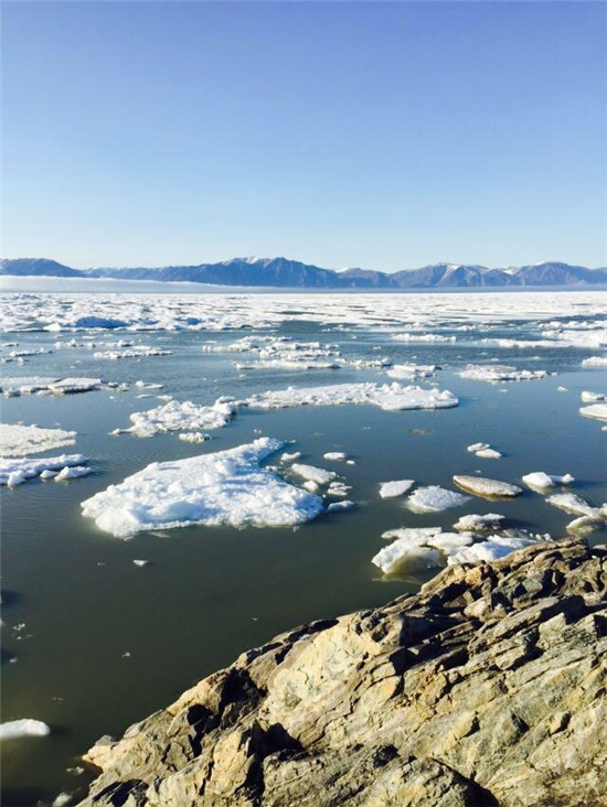 加拿大北极地区的浮冰融化
