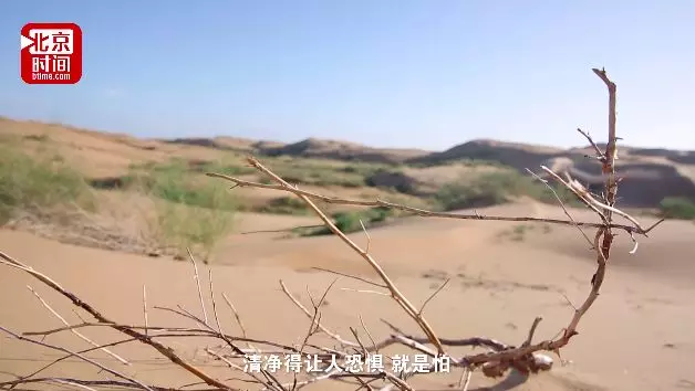 看完这篇文章只需5分钟，但他们却为此奋斗了40年…