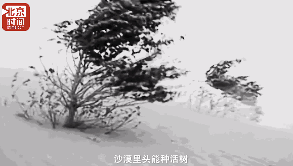 看完这篇文章只需5分钟，但他们却为此奋斗了40年…