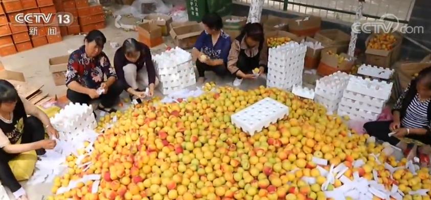 我国快递业务量5月份同比增长41% 快递业务收入771亿元