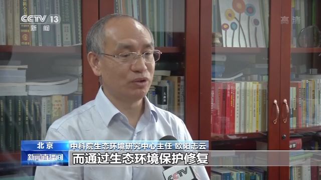 2021—2035生态系统重大工程重点任务和政策措施是什么 这个规划明确了