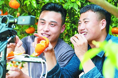 就业政策“大礼包”