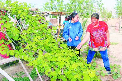 建个好支部 助民奔小康——新疆维吾尔自治区托里县加玛特村的脱贫之路