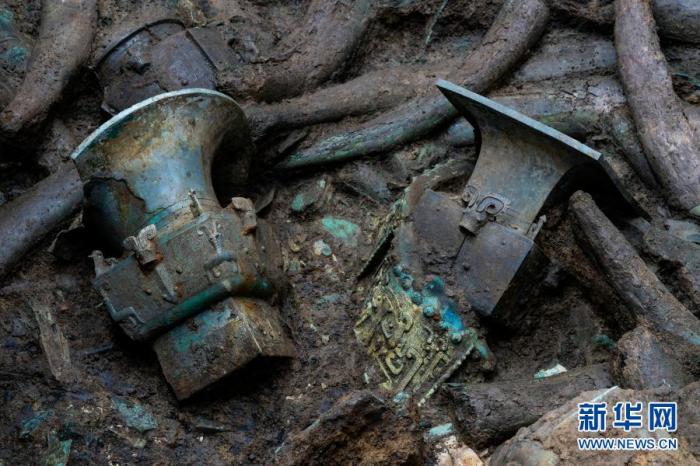 这是在三星堆遗址考古发掘现场3号“祭祀坑”内拍摄的青铜器和象牙(3月16日摄)。 新华社记者 沈伯韩 摄
