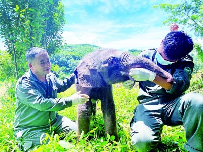 看云南，生物多样性、文化多元性之花尽情绽放