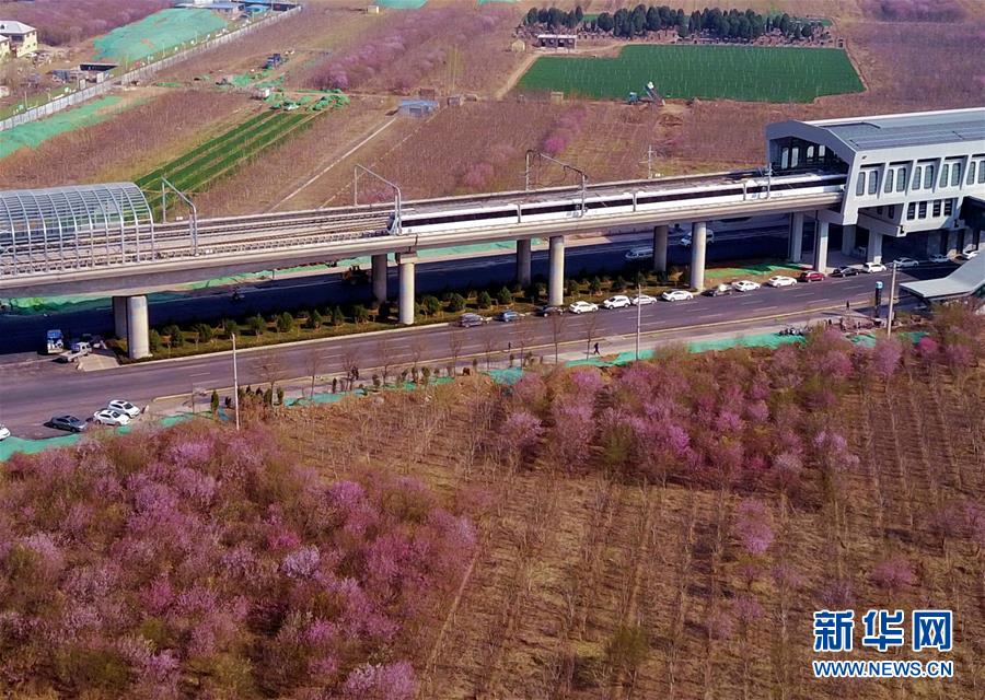 #（新华视界）（5）济南市首条地铁开通商业运营