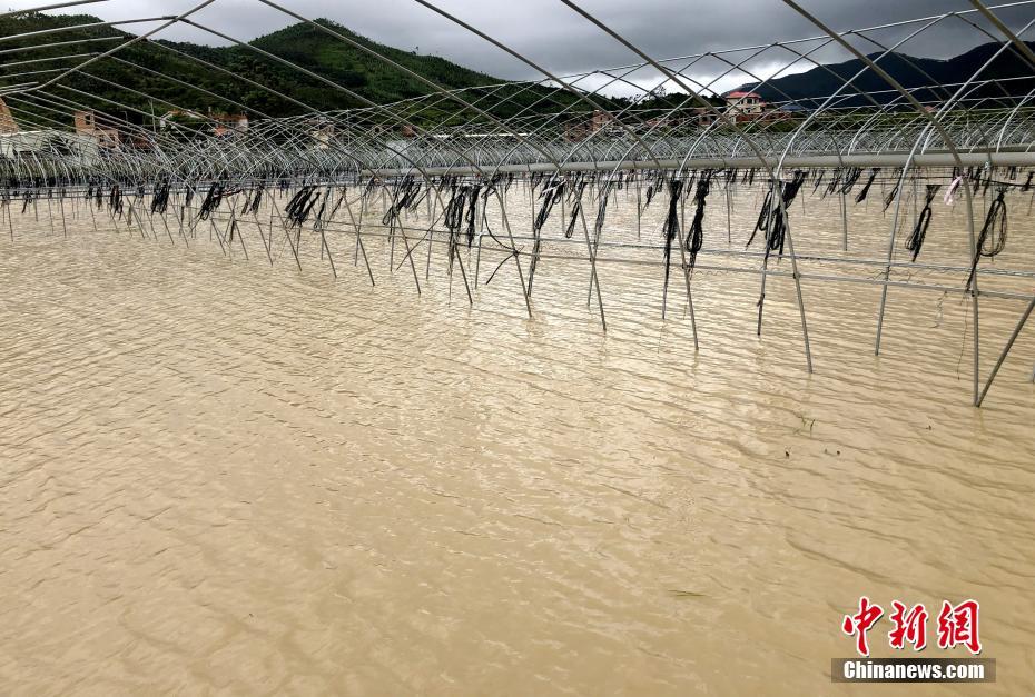 直击台风“白鹿” 农田被淹民众展开自救