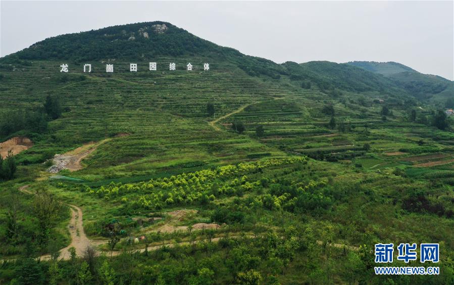 （新华视界）（5）山东日照：龙门崮田园综合体打造乡村振兴的“齐鲁样板”