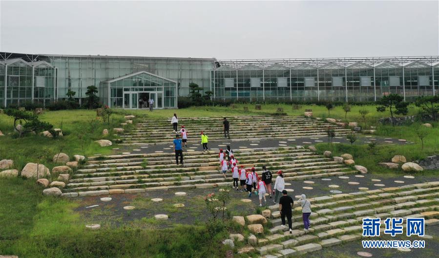 （新华视界）（4）山东日照：龙门崮田园综合体打造乡村振兴的“齐鲁样板”