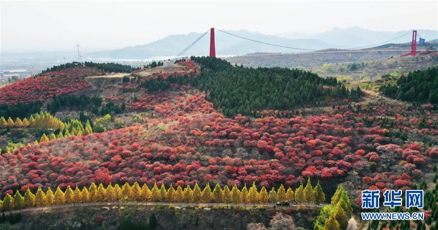 （社会）（3）山东青州桐峪沟村：从小山村到小康村的美丽嬗变