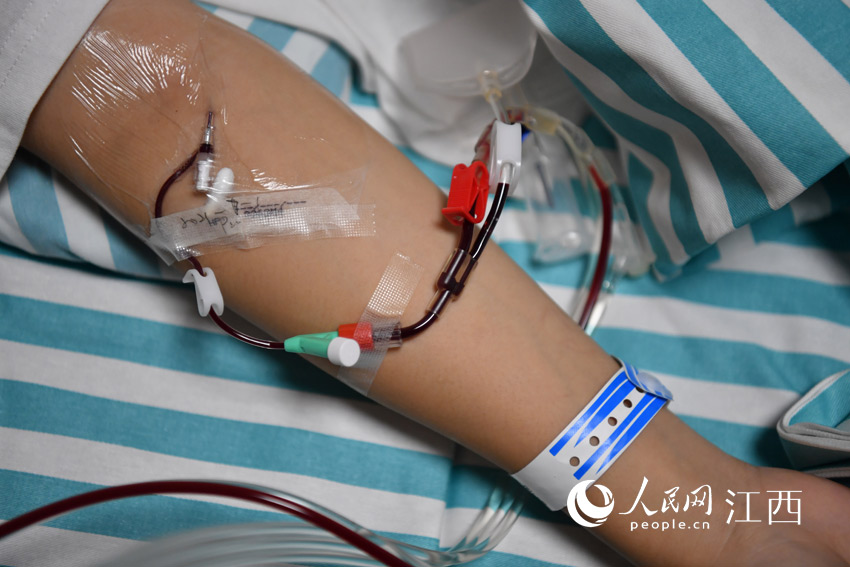 采集室内，新余19岁校大学生黄美华正在进行造血干细胞捐献。（人民网 时雨摄）