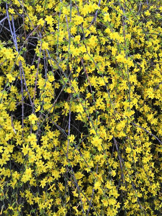 4919cab3bb4a4c299e13da0c27dcd19a (1).jpg