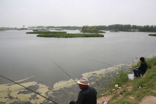 改造后的东明五里河人工湿地,成为人们休闲娱乐的好去处.