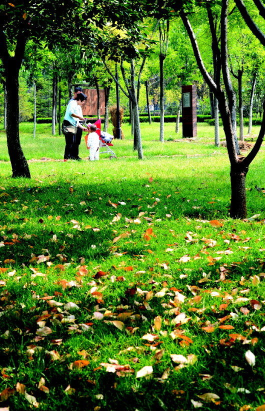 淄博枣庄跻身全国森林城市 山东森林城市达到4个