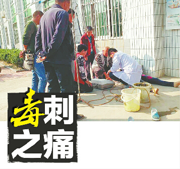 聊城被针扎女婴舅妈服毒身亡 年龄26岁服毒原因不明