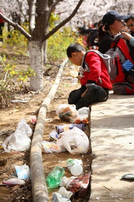 山东数万游客挤爆樱花山 随手扔致垃圾遍地