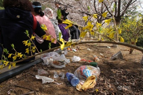 山东数万游客挤爆樱花山 随手扔致垃圾遍地