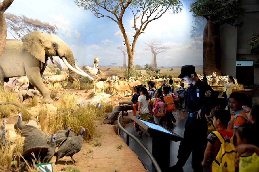 （晚报）山东：博物馆里观赏生物多样性