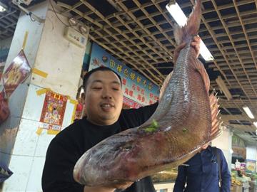 男子出海捕鲈鱼网上22斤大加吉 至少200元/公斤