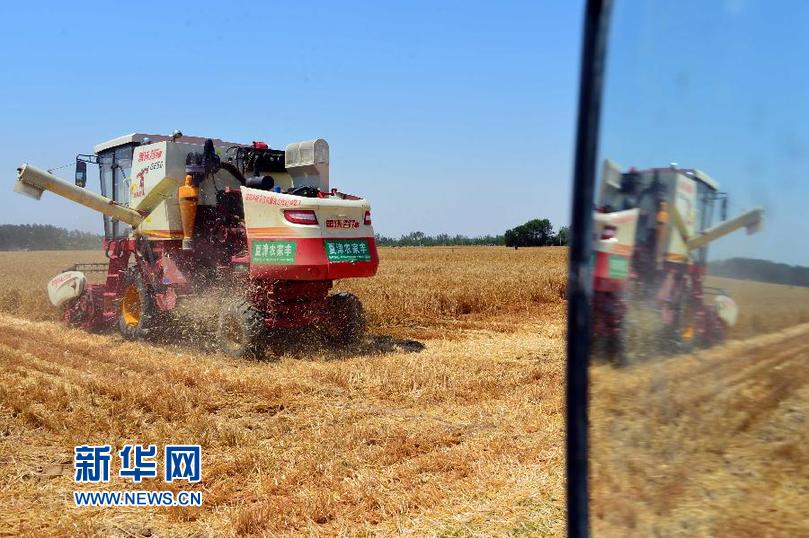 （经济）（1）山东：小麦收获已达六成