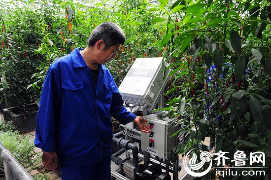 工作人员通过物联网操控系统进行温室环境调节