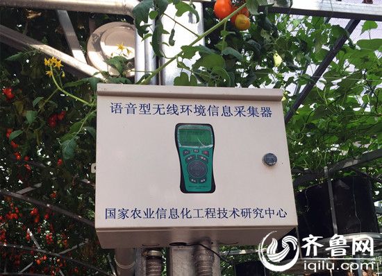 温室环境智能操控系统环境信息采集器