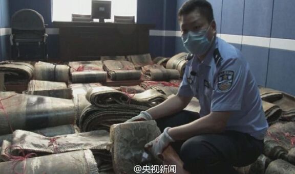 山东警方收缴非法走私蟒皮961张