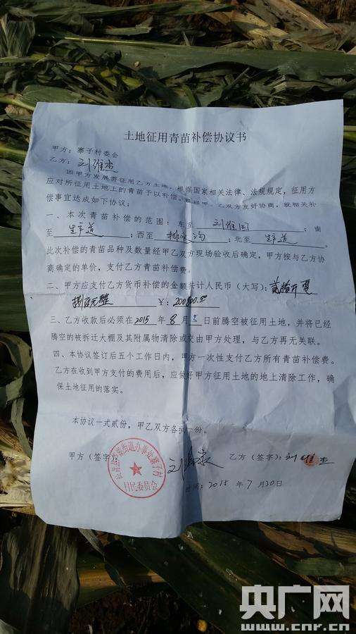 山东高青发生故意毁坏农民粮田事件 村委带人破坏秋收