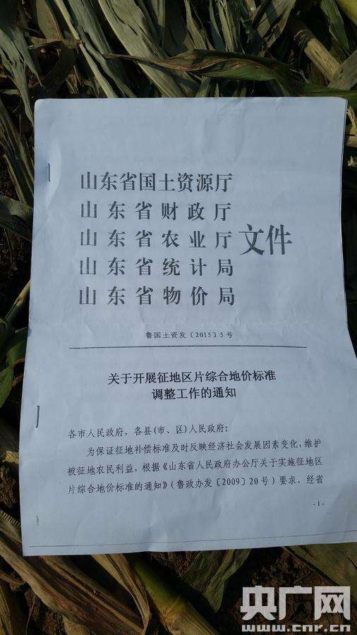 山东高青发生故意毁坏农民粮田事件 村委带人破坏秋收