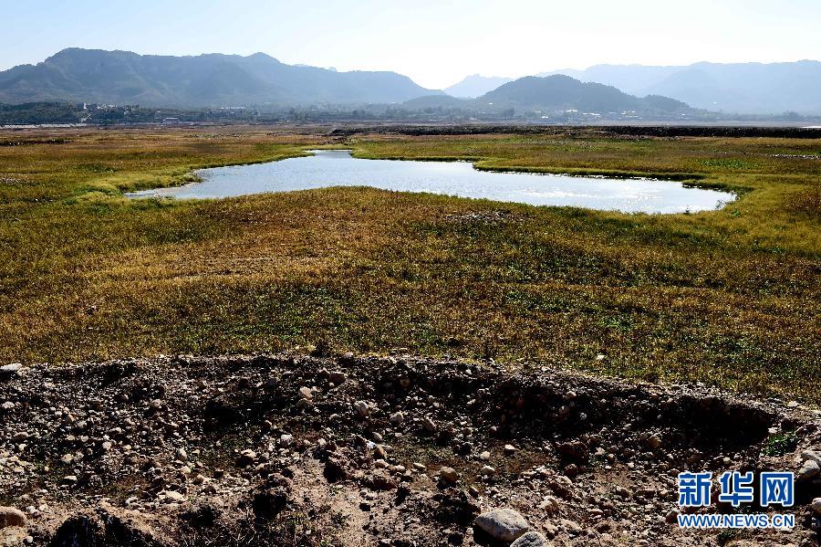 （生态）（2）山东旱情发展 水利工程蓄水总量较历年同期少蓄40%