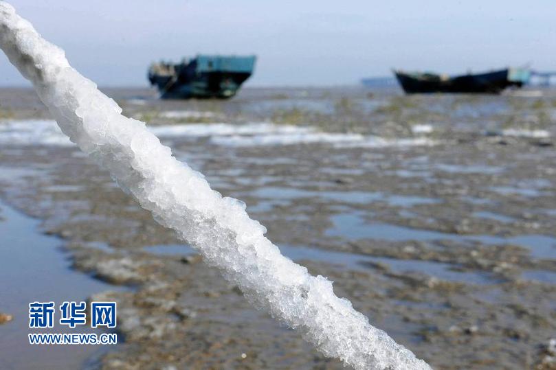 #（生态）（4）山东胶州湾初现海冰