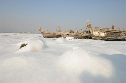 青岛海湾现冰封景观最厚15厘米