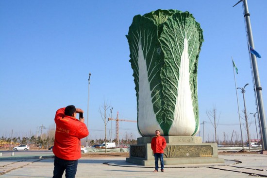山东聊城现巨型“大白菜”雕塑