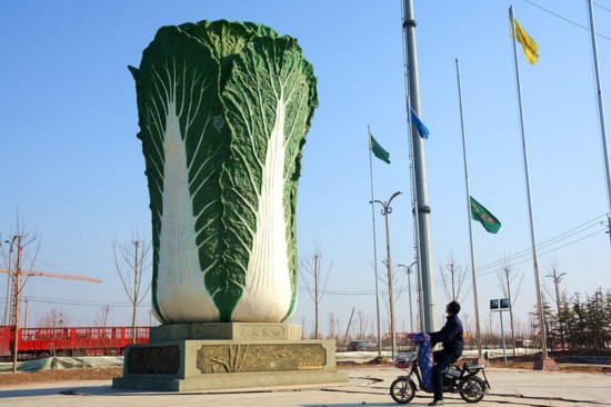 山东聊城现巨型“大白菜”雕塑