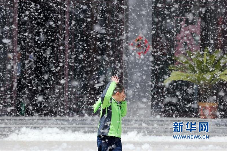 山东潍坊市区杨絮纷飞 四月“飘雪”