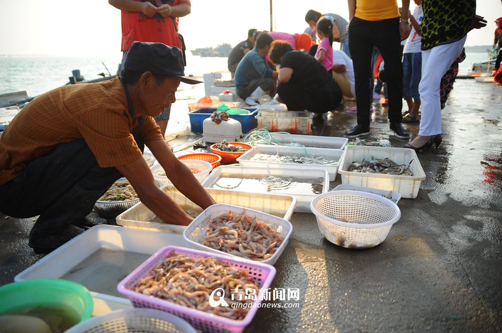 高清:红岛小海鲜肥美诱人 市民假期欢乐扫货