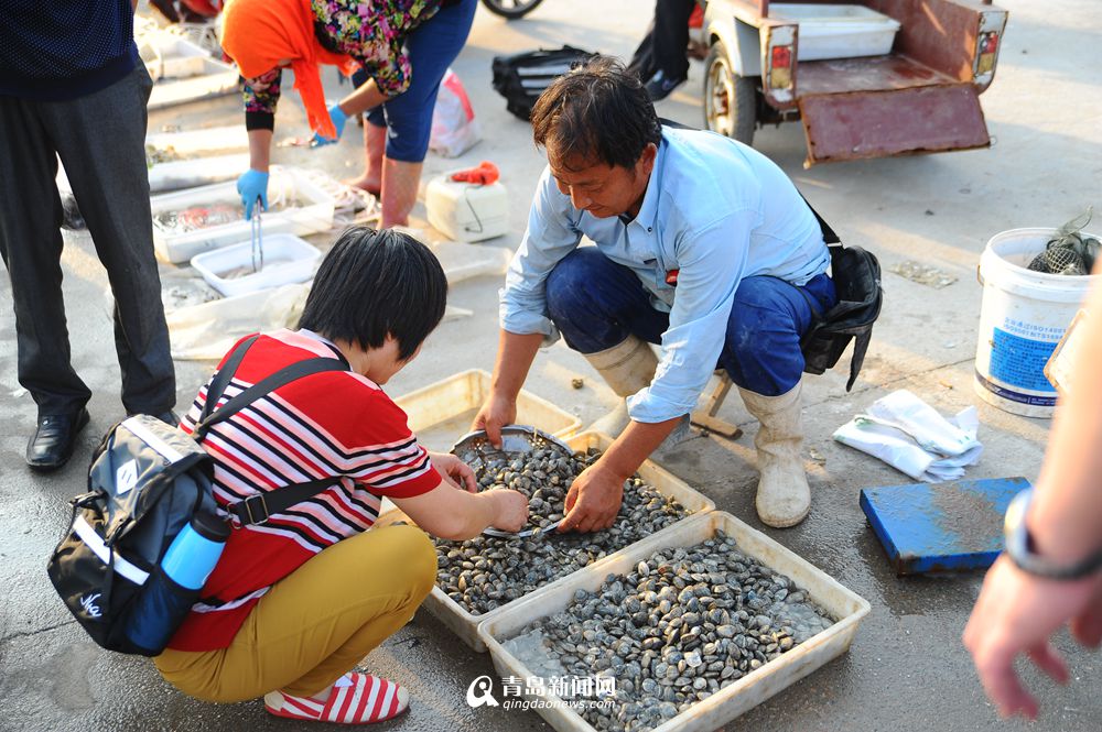 高清:红岛小海鲜肥美诱人 市民假期欢乐扫货