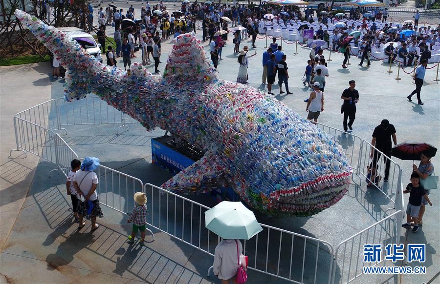 #（社会）（3）山东日照：废旧塑料瓶变“鲸鲨”