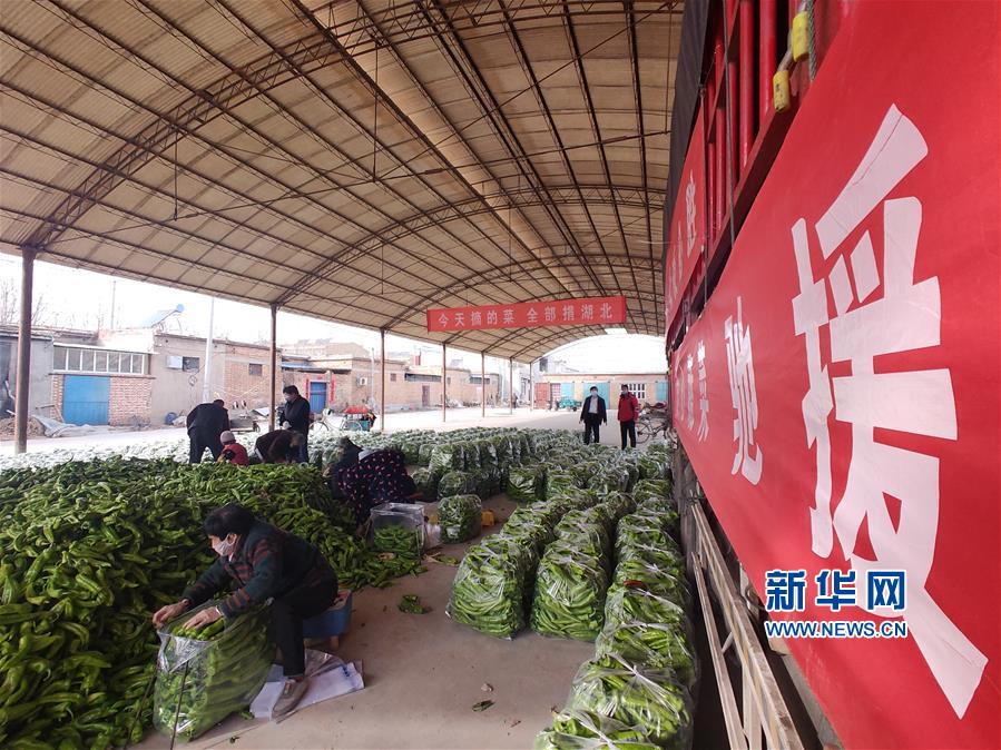 #（聚焦疫情防控）（3）山东聊城15吨爱心蔬菜送到湖北襄阳