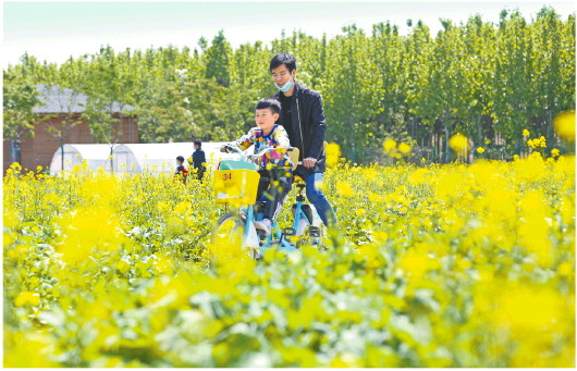 5月2日，游客在邹平市供销·蝶恋谷景区赏花游玩。□通讯员 霍广 报道